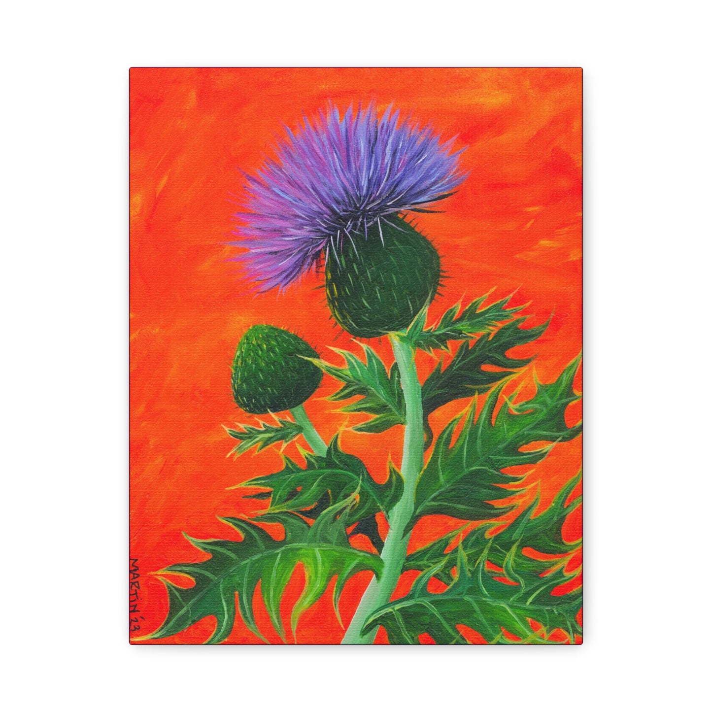 Thistle Canvas Gallery Wraps