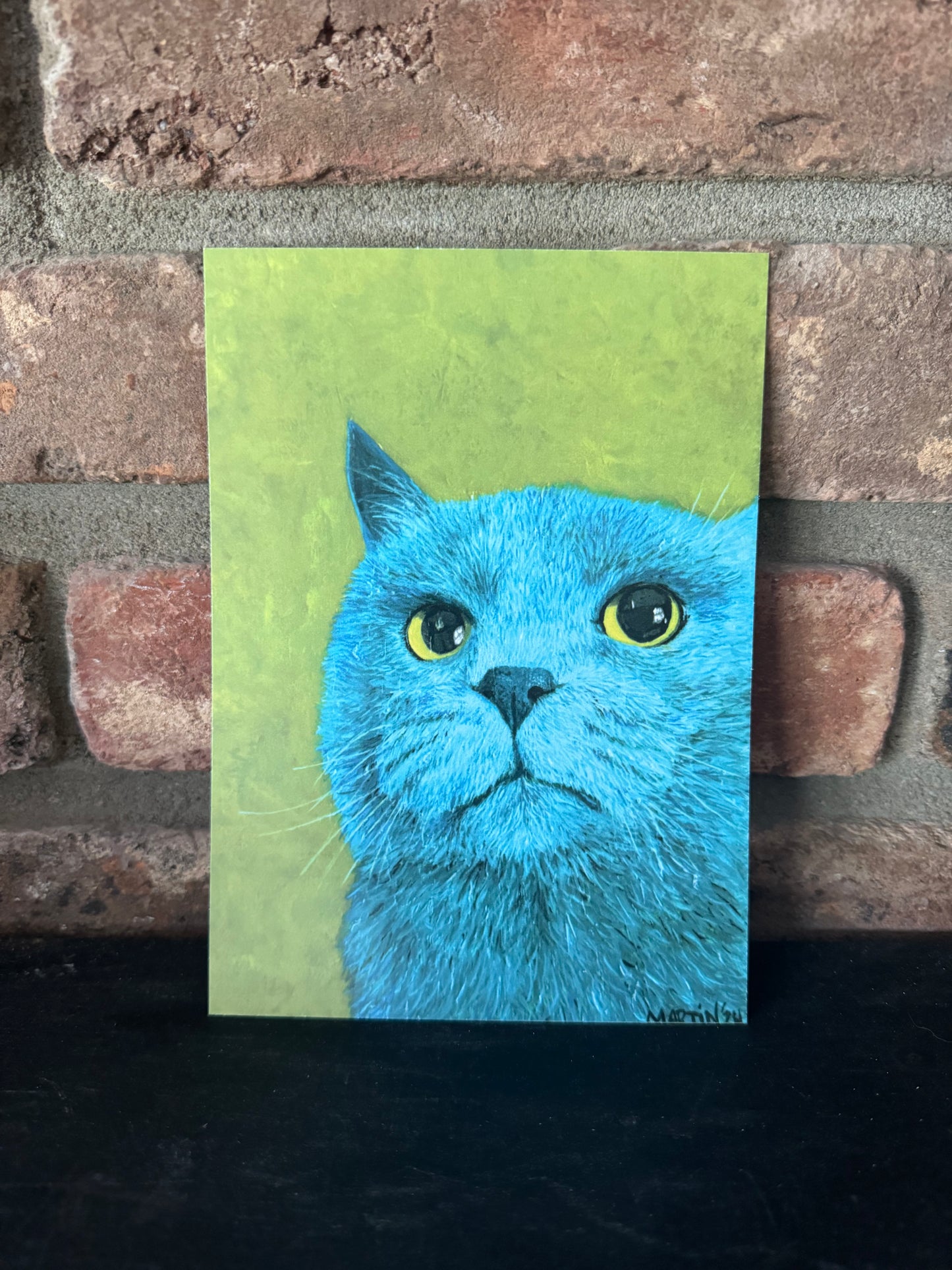 Teal Judgemental Cat Print - FREE SHIPPING IN THE US