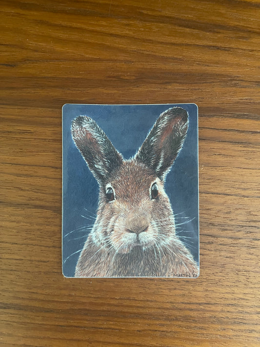 Carl the Rabbit Sticker - FREE SHIPPING IN THE US