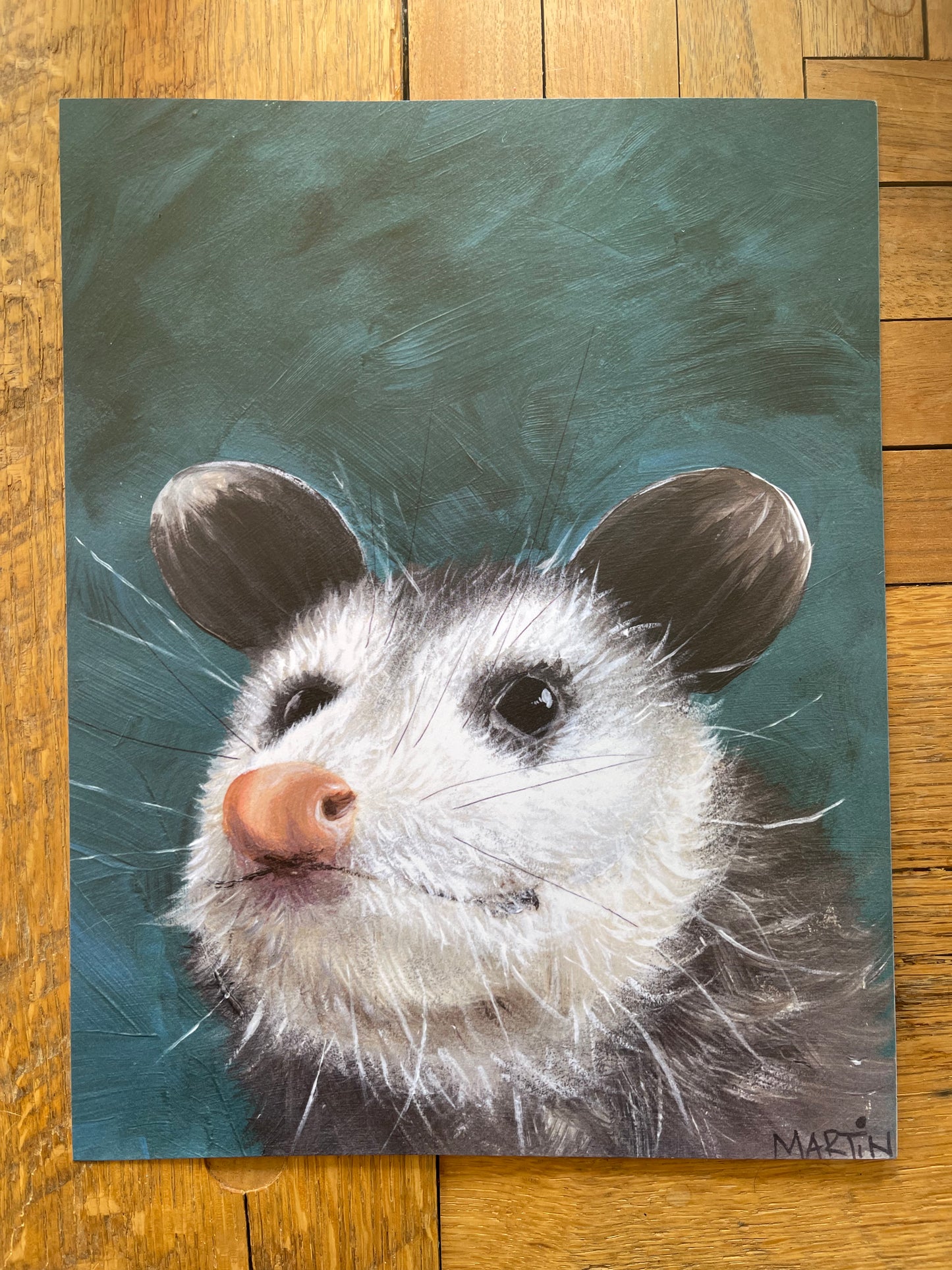 High Quality 8.5x11” Baby Opossum Print - Free shipping in US