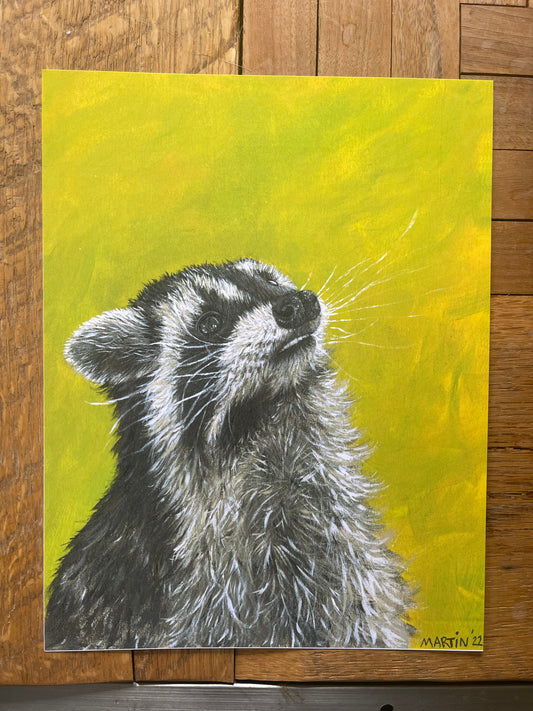 Derpy Raccoon Print - FREE SHIPPING IN US
